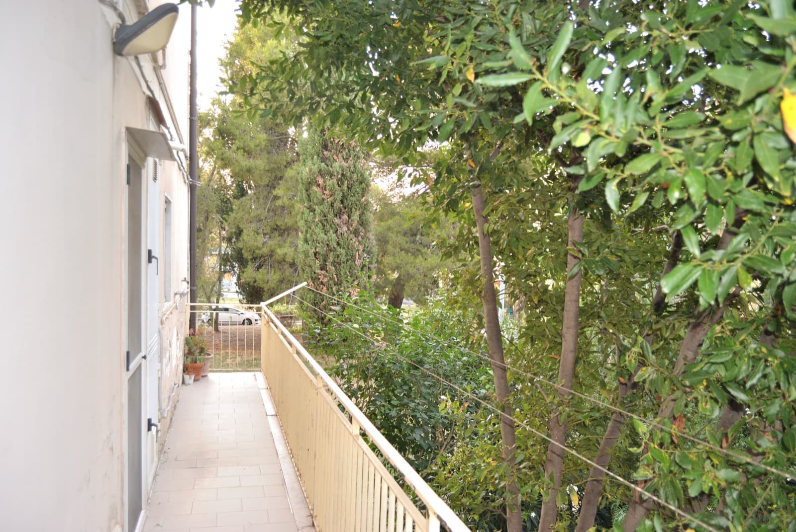 Balcone con vista sugli alberi, aria fresca mattutina